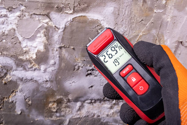 Best Mold Remediation Services  in Cross Plains, TN