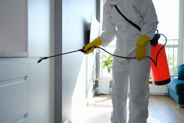Professional Mold Removal in Cross Plains, TN